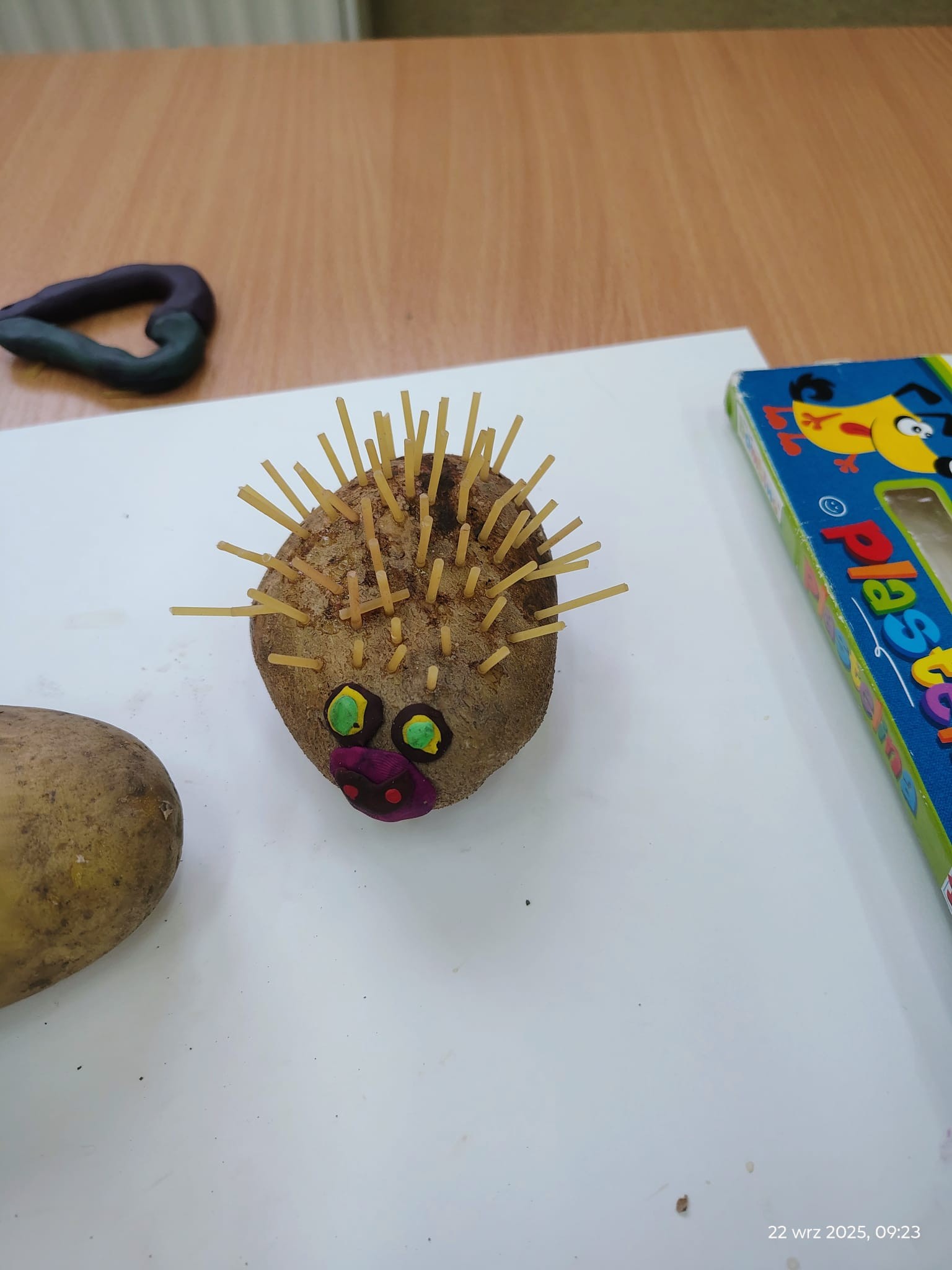 555810917_1355390089553890_5428397906392932265_n