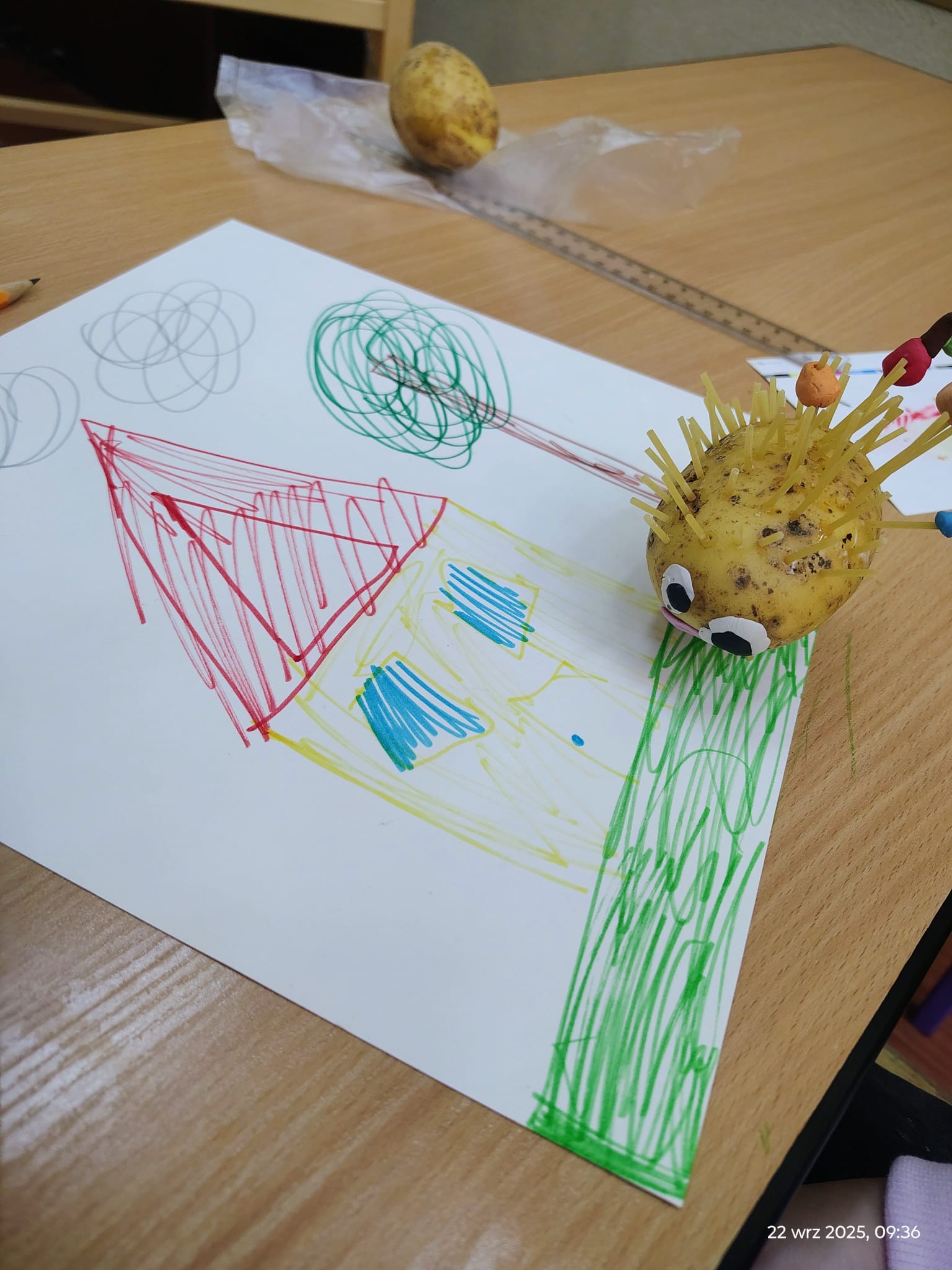 556019153_1355390152887217_1613541850316907019_n