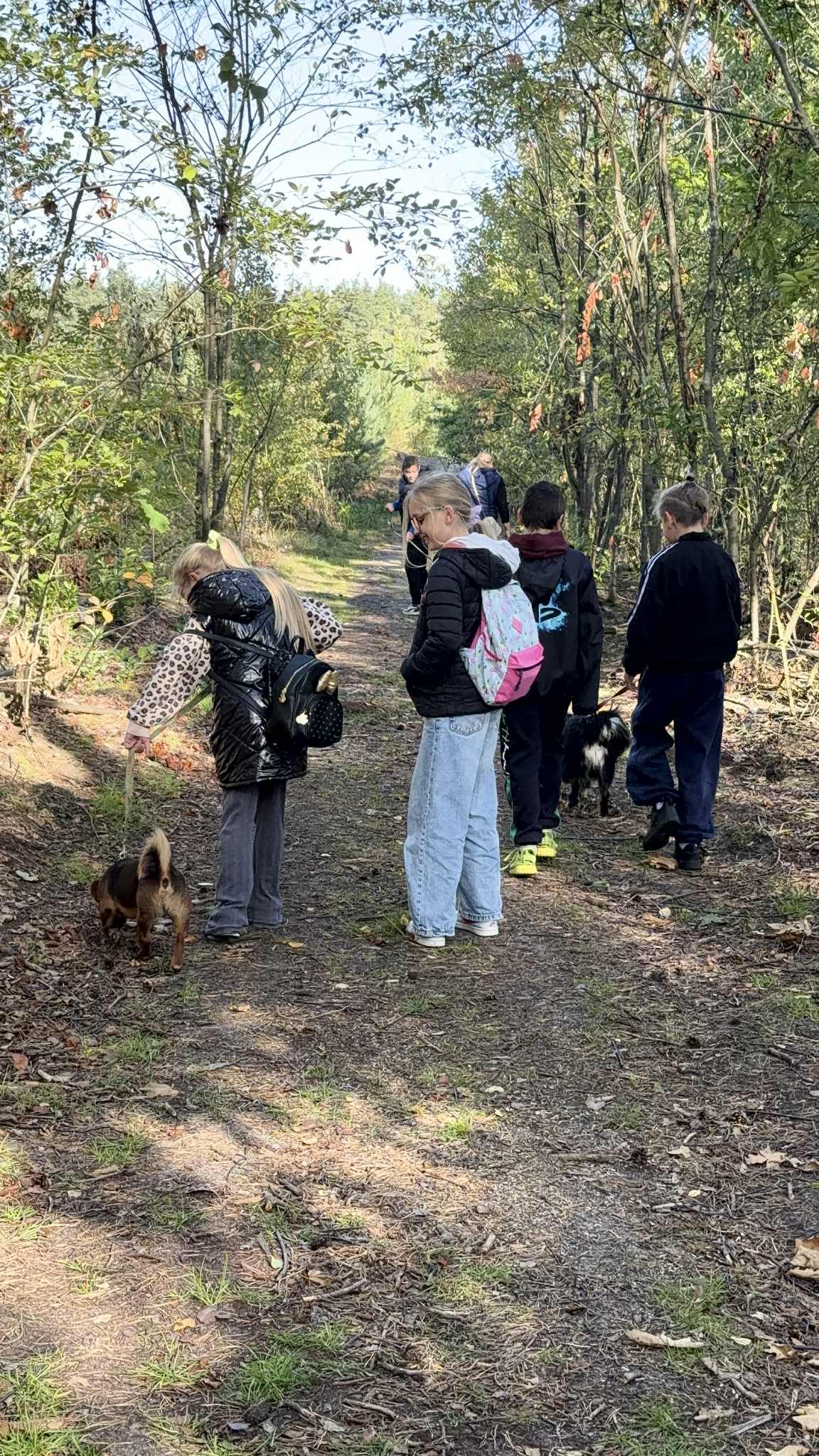 att.FFpbVd9noeAE9zOWVZWOhPgYFccjrUtrfdYXaFhlsuc