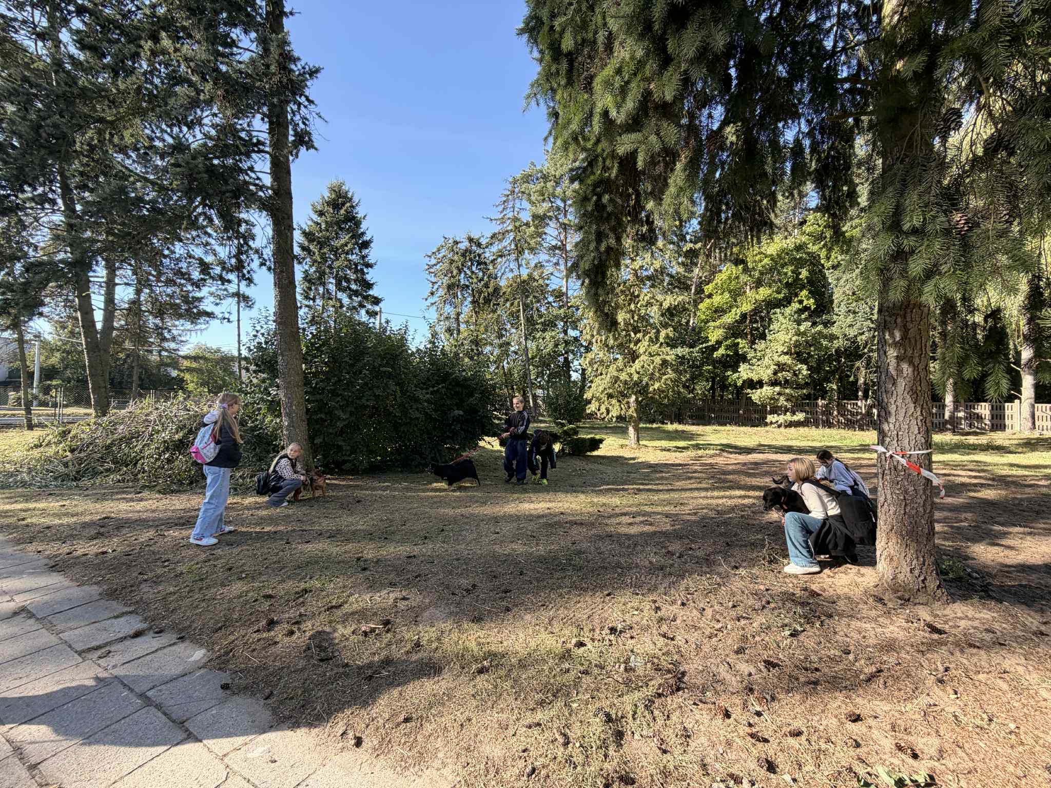 att.bUNPdFoZfym223Pi_HrWIDsGu6sPQJQBg1iMWV5NpVo