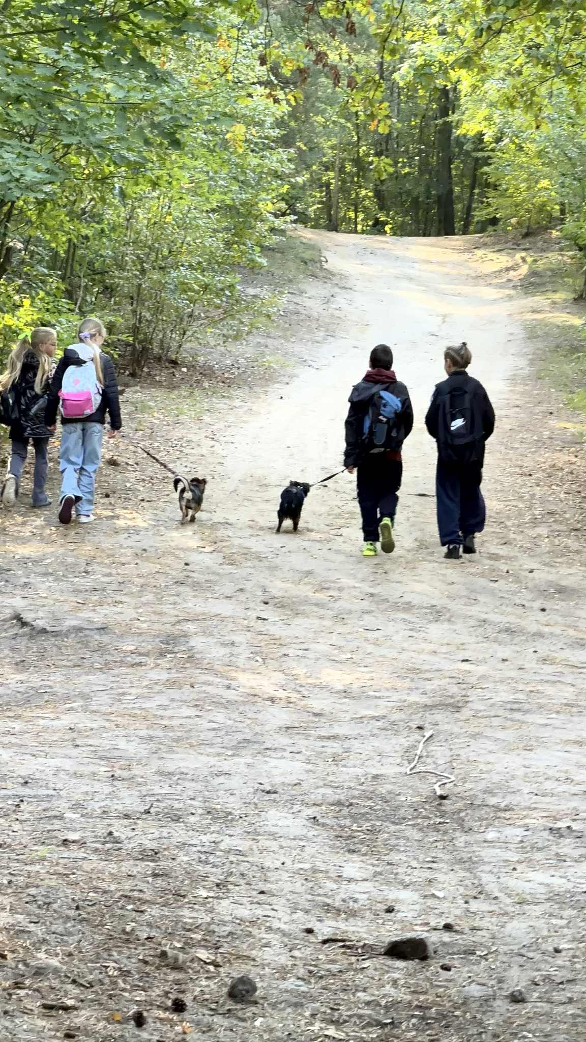 att.x6MT_6ASCN1tNBdU6ma1yYBsANY2R-iNFmllaVm76oo