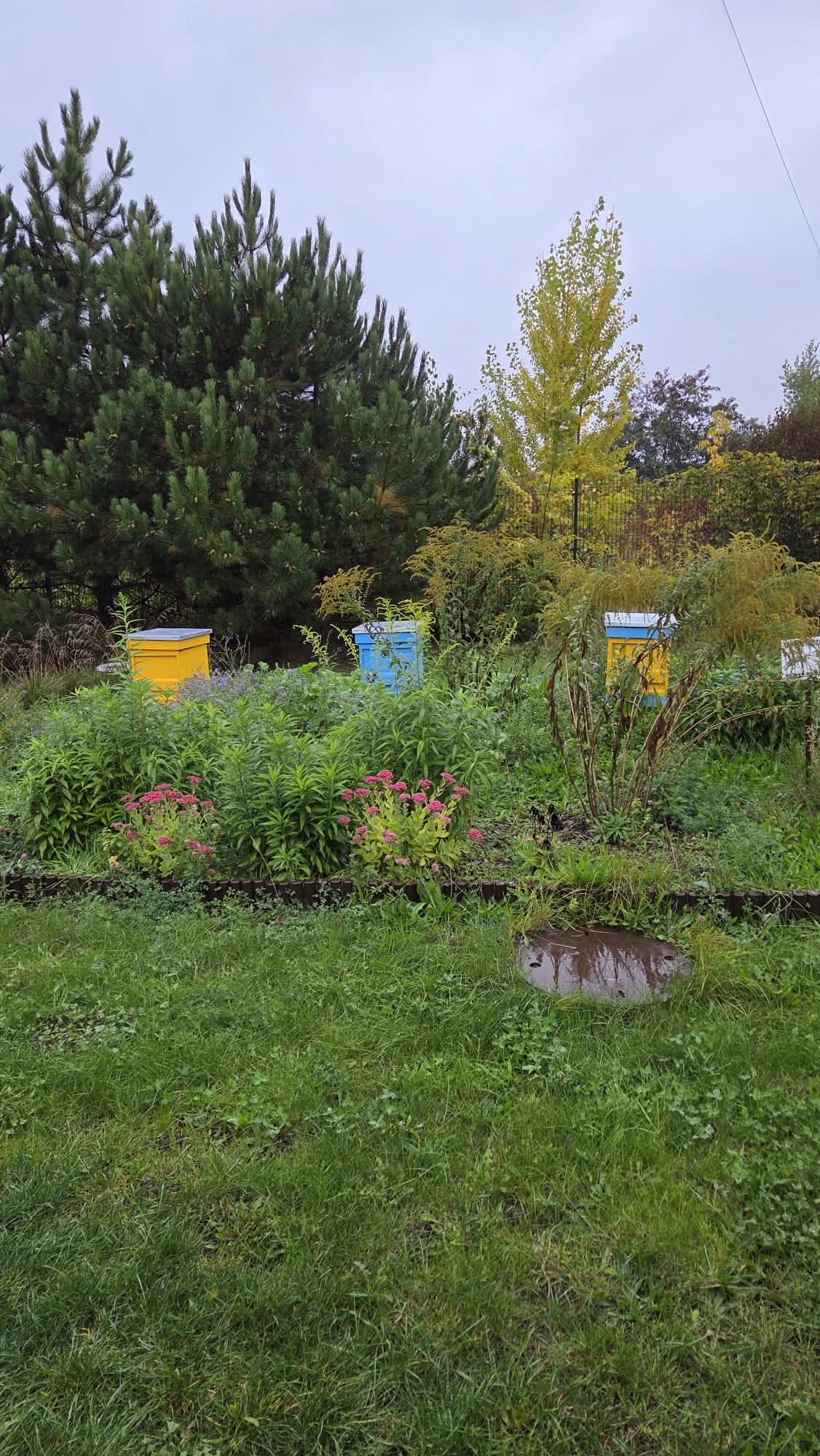 FB_IMG_1759772741386