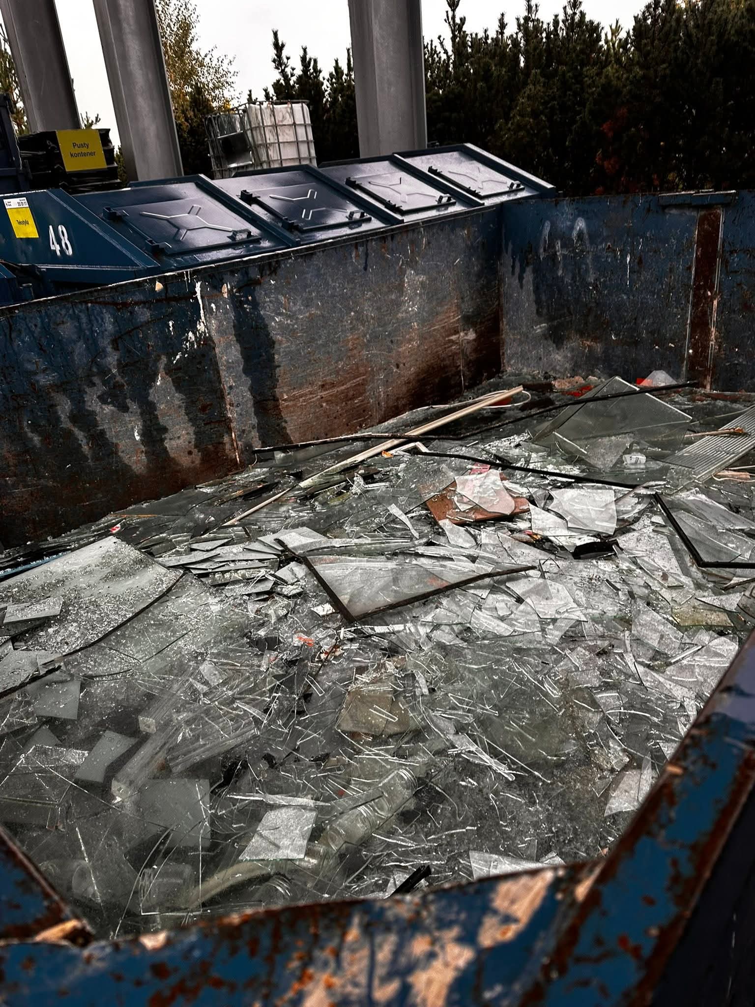 FB_IMG_1759772766434