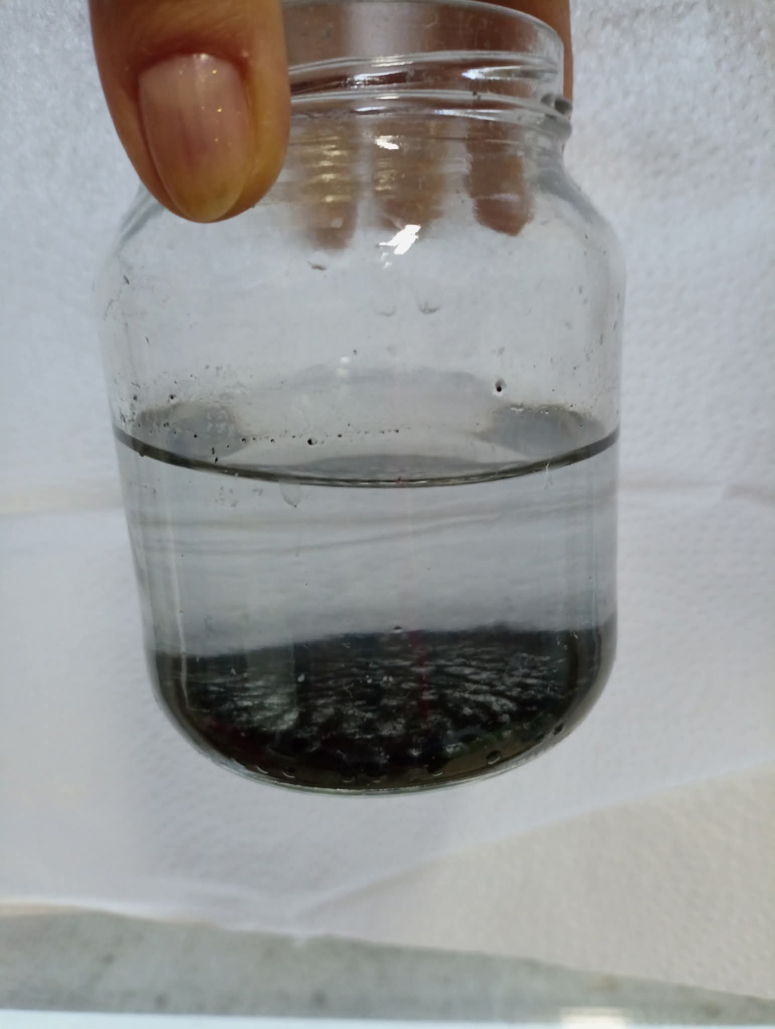 FB_IMG_1764944497412