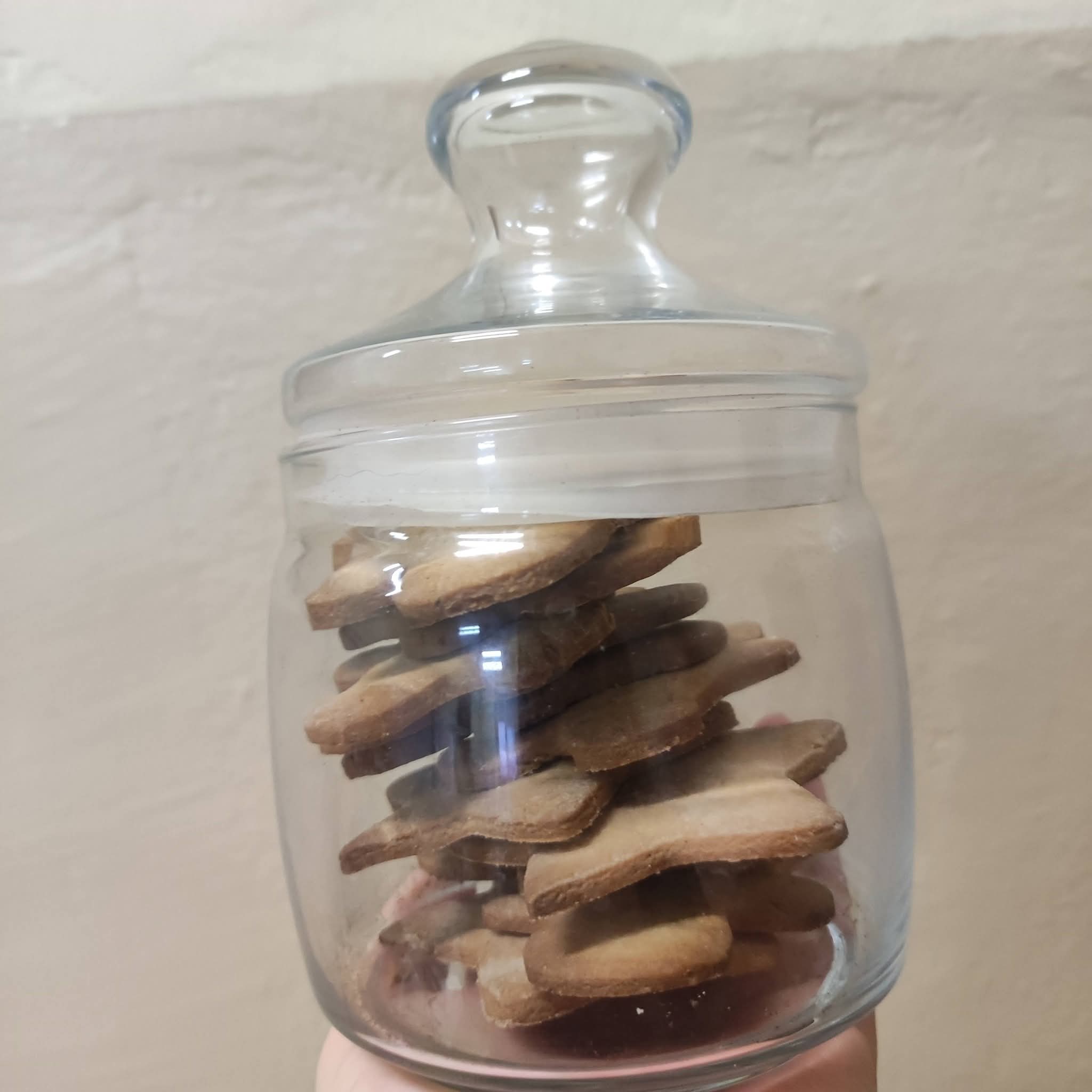 FB_IMG_1765468092287