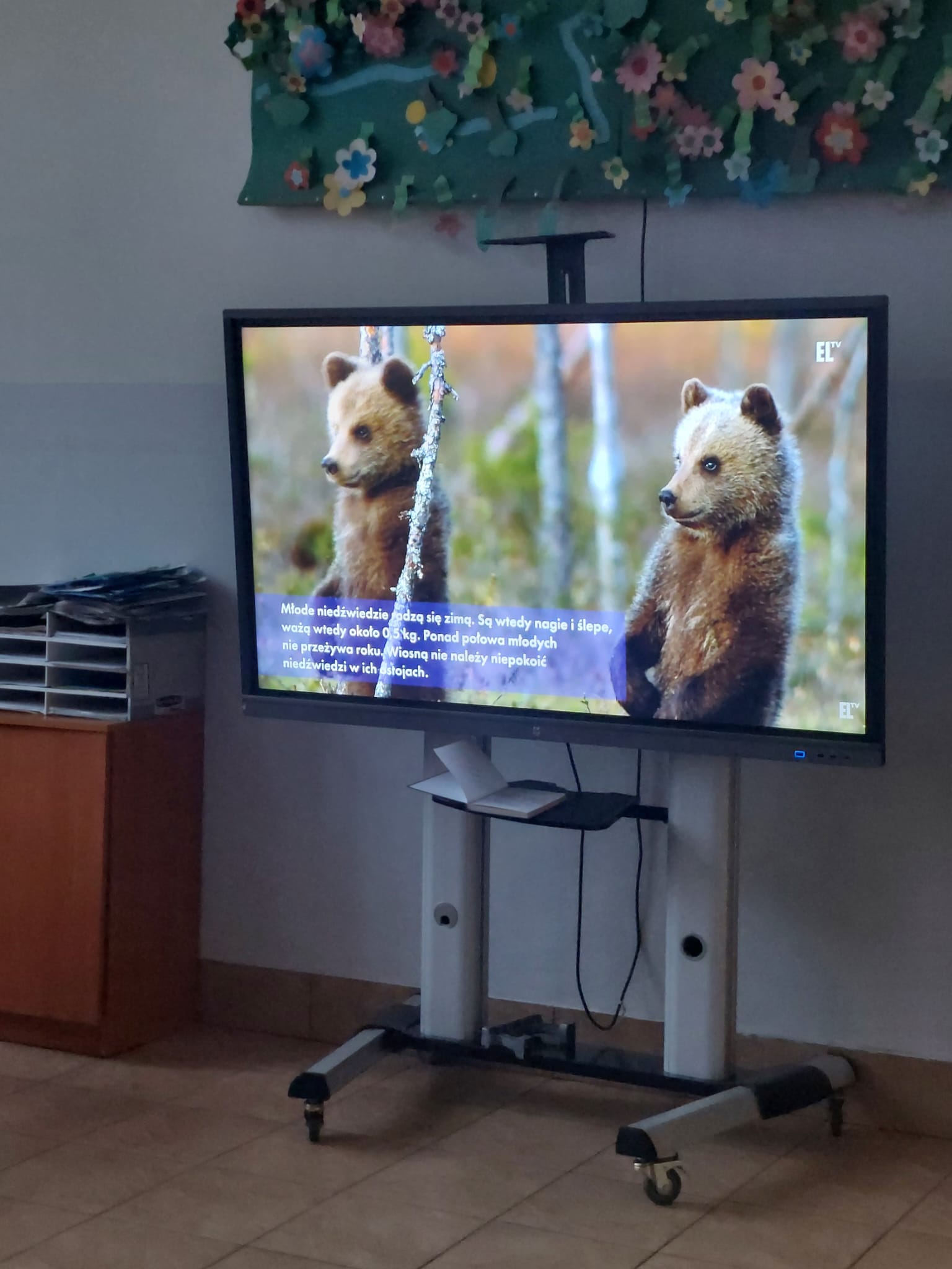 WhatsApp Image 2026-02-02 at 09.31.56 (1)