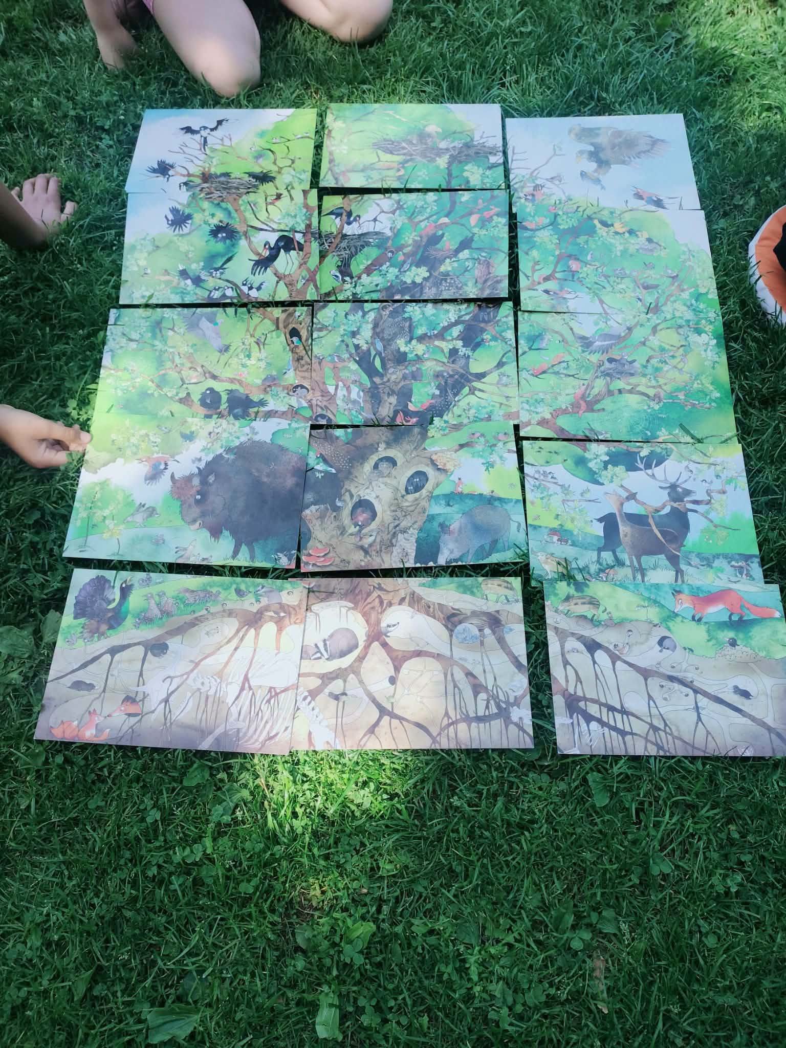 707678674_1327840232619273_2794153247655405178_n